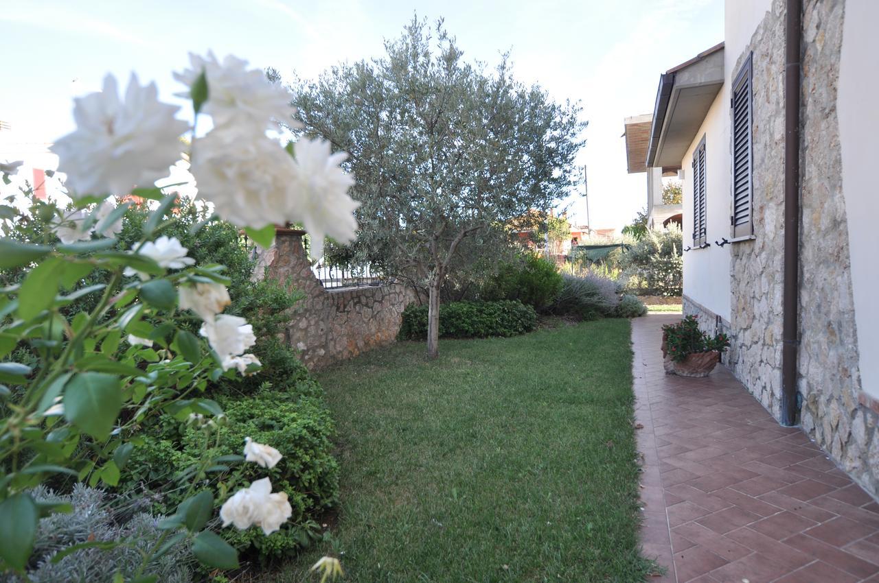 Guest house I Leoncini Fonteblanda